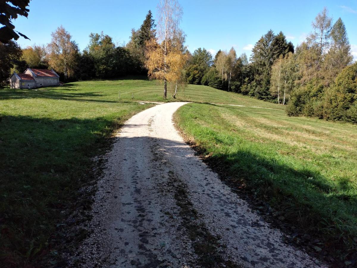 Al Salt Villa Belluno Bagian luar foto